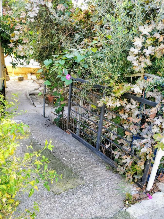 Amazing Apartment 100 Meters From The Old Town Rhodes City Eksteriør billede